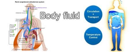 Body Fluids Medical Yukti