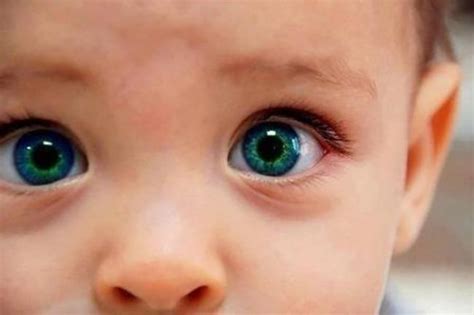 Las 5 Personas Con Los Colores De Ojos Más Impresionantes De Todo El Mundo Fotogalería