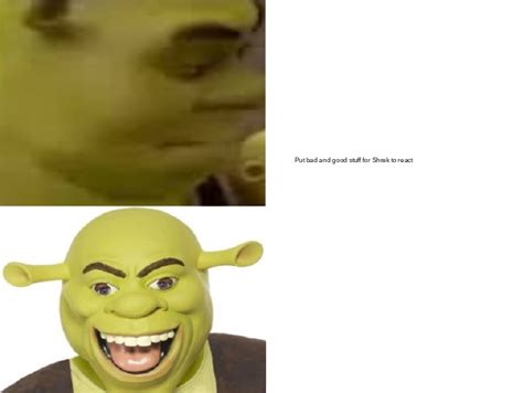 Epic Shrek Meme Template By Kimitfrg777 On Deviantart