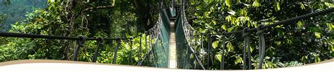 You could choose walking on the world's longest canopy walkway, visiting the aborigine village, trekking under rainforest canopy, mountain climbing. Canopy Walkway | Taman Negara