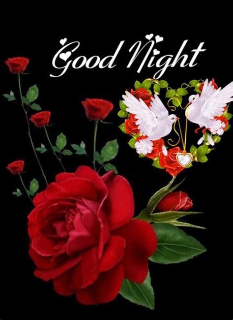 Pin By Narasimharao Tatiparthi On Good Night Good Night Flowers Good