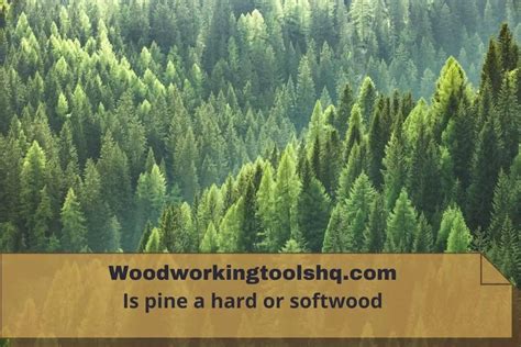 Is Pine A Hard Or Softwood Woodworkingtoolshq