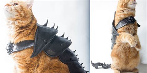 Make Sure Your Cat Is Battle Ready With D Printed Cat Armor Dprint