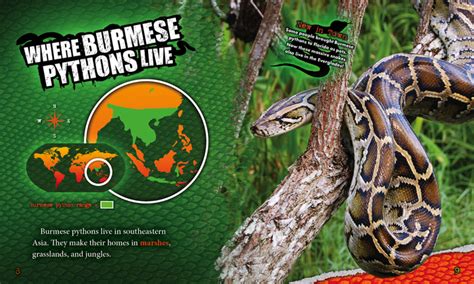 Burmese Pythons Bellwether Media Inc