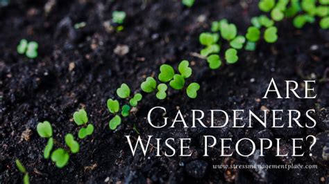 Gardeners Are Wise People Michael Olpin Stress Management