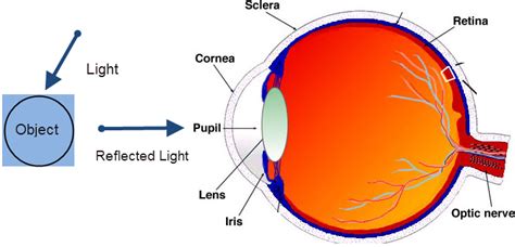 We did not find results for: Emerging Technology: Screenless Display anf their Types