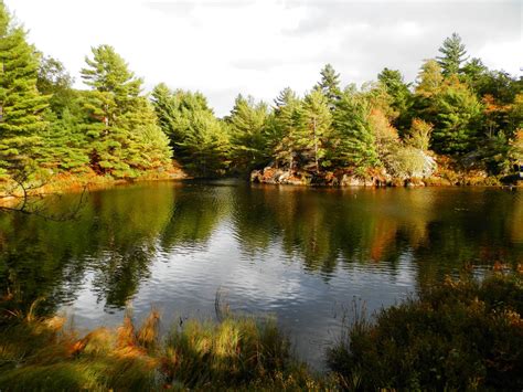 Camping In Ontario Six Mile Lake Provincial Park Site 81