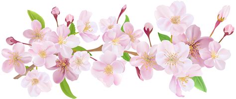 Pin the clipart you like. Library of flower blossom jpg library library png files ...