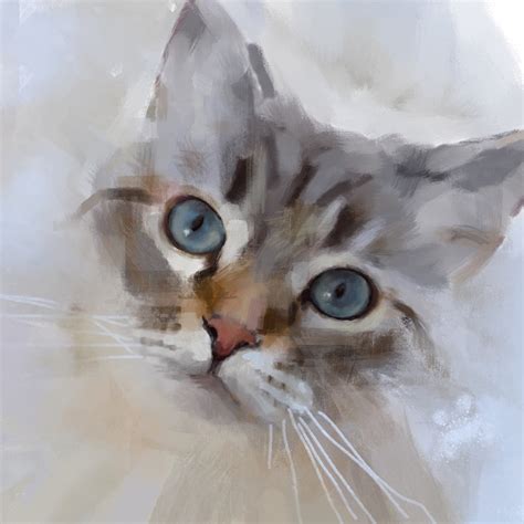 Grey Ragdoll Cat Print Fine Art Giclee Print Rag Doll Cat Etsy