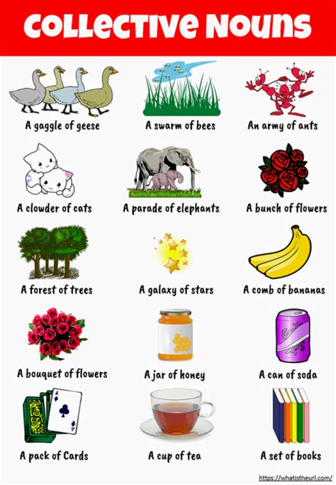 List of collective nouns for animals. engclass4e: Nouns ( contd) part 3 ... Collective nouns