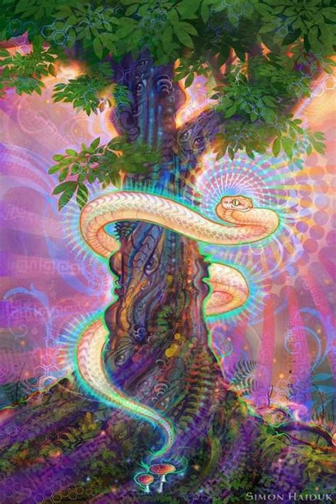 Rainbow Serpent Wiki 𖣘therian Amino𖣘 Amino