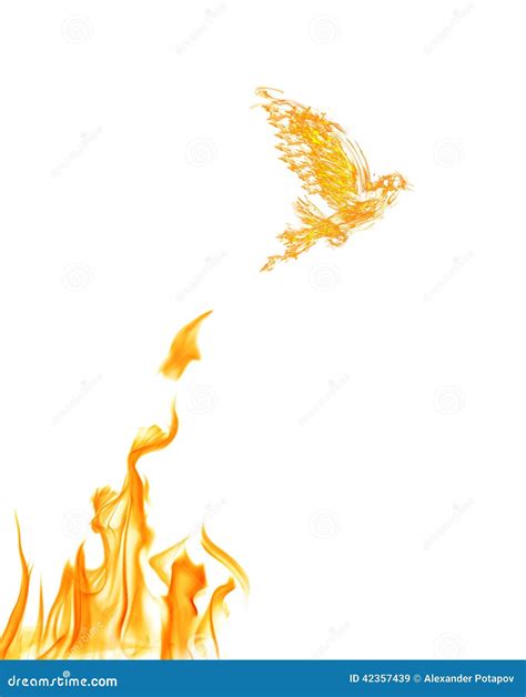 Flame Dove Flying From Yellow Fire Isolated On White Stock Image