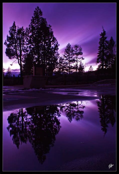 47 Best Purple Sunset Images On Pinterest Purple Sunset
