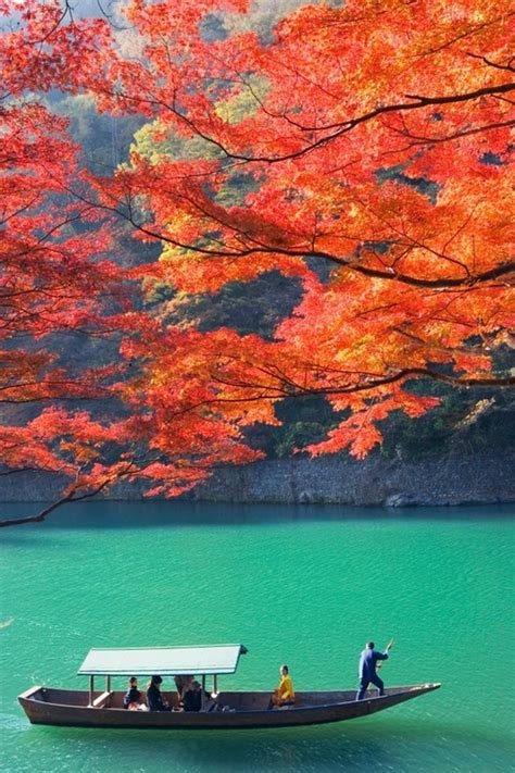 Menoreh getah pada musim daun luruh sangat mencabar, susu berkurang, susu getah susah beku dan panas membahang. Blog Santai: Musim Luruh Di Japan