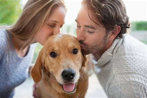 Survey Finds Dog Owners Kiss Dogs More Than Their Partners