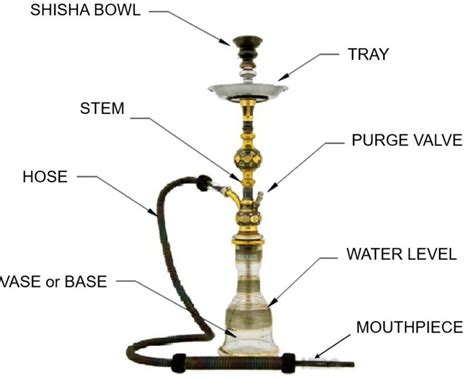 How Shisha Works Main Parts Of A Shisha Pipe And How Shisha Works