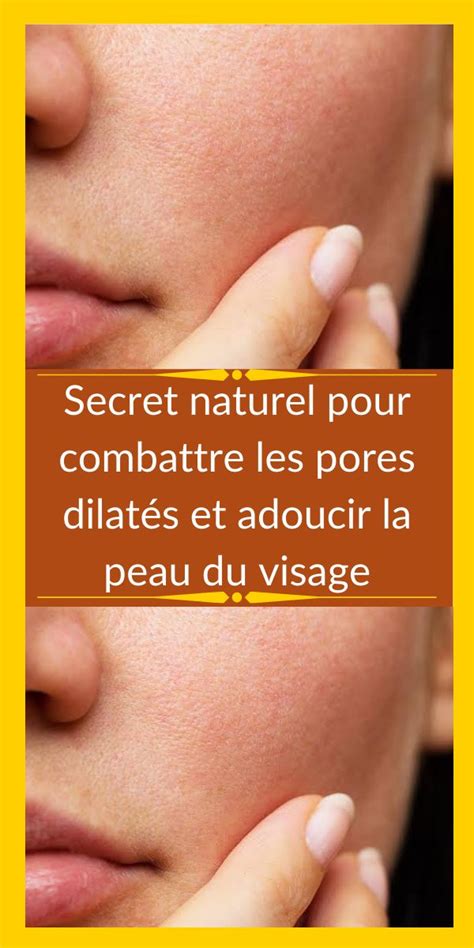 Secret Naturel Pour Combattre Les Pores Dilatés Et Adoucir La Peau Du
