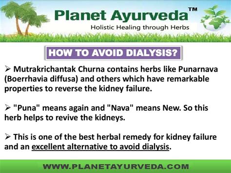 Herbal Remedies For Kidney Diseases Mutrakrichantak Churna