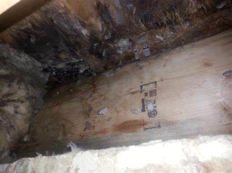 Rotted Rim Joist Community Forums