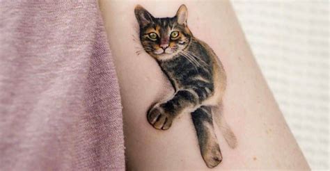 Amazing Cat Tattoo Ideas And Meaning