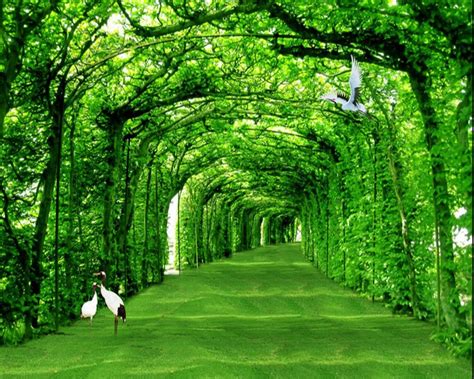 Gambar Wallpaper Pemandangan Terlengkap Expo Wallpaper