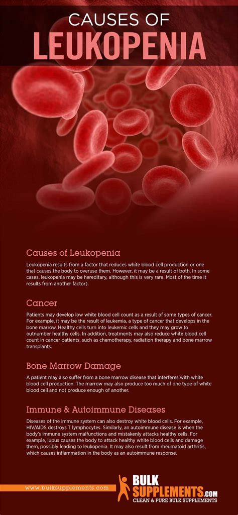 Leukopenia Boost Your White Blood Cell Count With Supplements