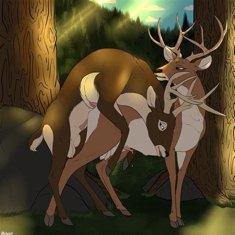 Rule 34 Backlash91 Balls Blush Cervine Deer Domination Male Mammal