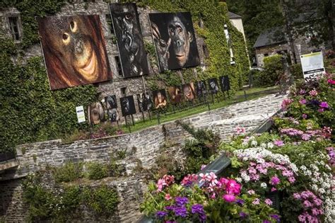 Maybe you would like to learn more about one of these? Festival Photo à La Gacilly - Du 2 juin 2018 au 30 ...