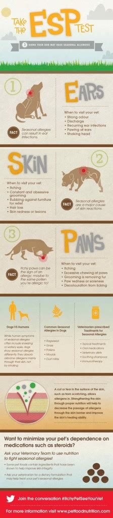 Itchypetseeyourvet Do Your Dogs Have Seasonal Allergies Tales Of A