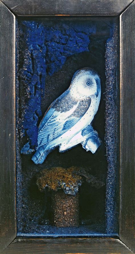 Just Love The Texture Around The Owl And Colors Joseph Cornell