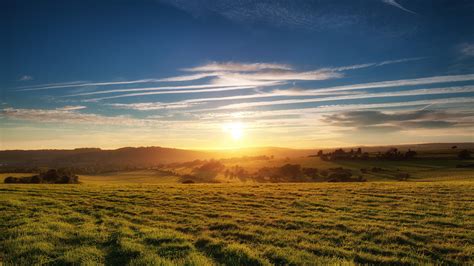 Green Meadow Wallpaper 4k Landscape Grass Field Sunset