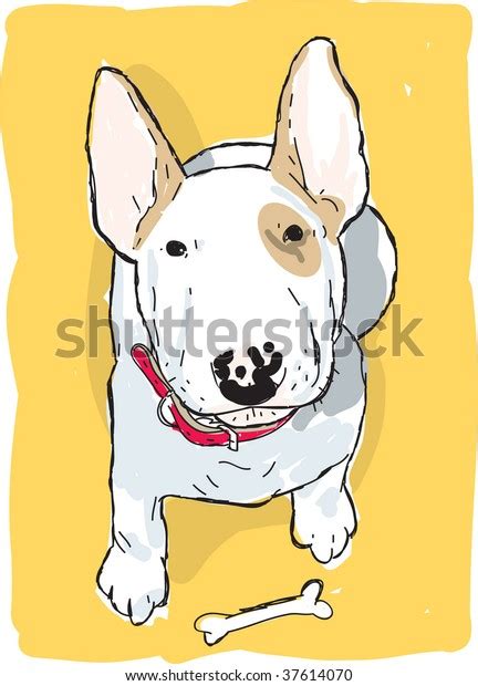 Dog Bullterrier Stock Vector Royalty Free 37614070 Shutterstock