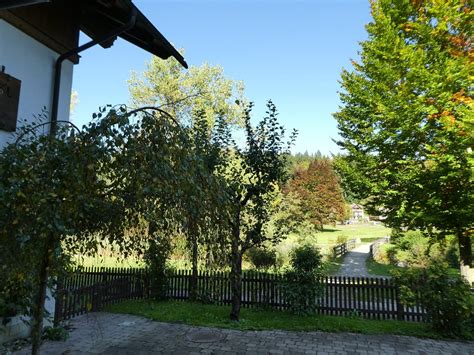Nach seiner ausbildung an der landwirtschaftsschule edelhof übernahm gottfried waldhäusl schon in jungen jahren den elterlichen. Waldhäusl