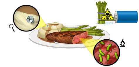 Section Food Safety Hazards Food Handler Training