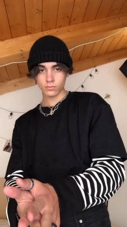 All you need is a defined middle part and a curtain fringe, keeping the rest of your hair fairly slicked back. Tiktok Eboy Hair - hot tiktok 2020