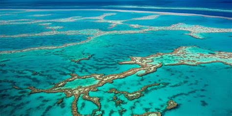Pass2 Dive In The Great Barrier Reef Rhetoric And Civic Life
