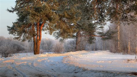 Landscape Photography Nature Morning Road Trees Snow