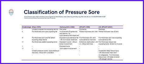 Pressure Ulcerssores Classification Illustrations Treatment