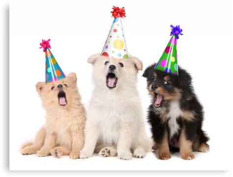 Puppy Dogs Singing Happy Birthday To You Canvas Prints By Katrina