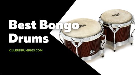 7 Best Bongo Drums 2023