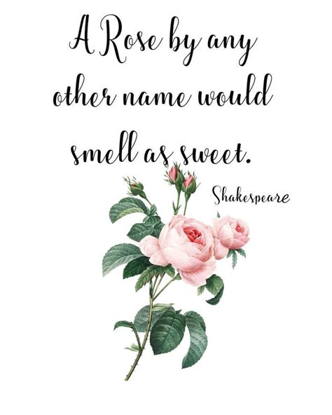 A Rose By Any Other Name Would Smell As Sweet Shakespeare Etsy