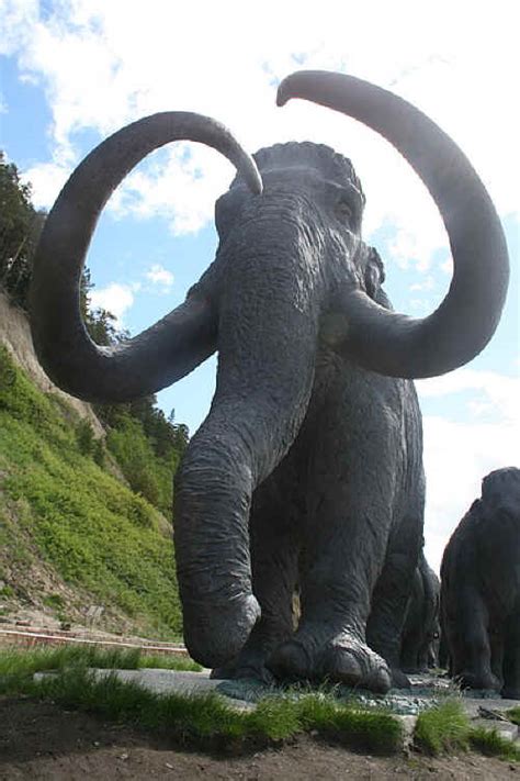 Facts about the woolly mammoths such as height, size, diet, habitat, and reasons for extinction after the last frozen mammoth tissues, found in siberia, sparked the movement for the revival of woolly. Mammoth Sculpture: Religious Fables, Folklore, Legends ...