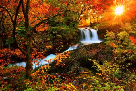 1920x1080 most beautiful fall scenery