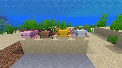 Minecrafts New Snapshot Features Some Very Good Axolotls Pcgamesn