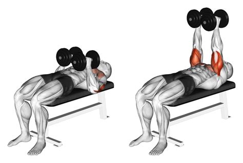 Dumbbell Close Grip Press Benefits Muscles Worked And More Inspire Us