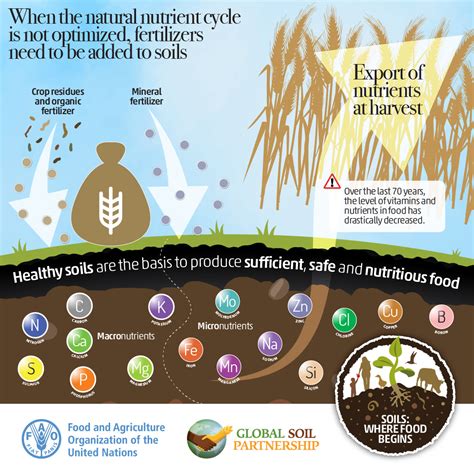 Soil Fertility Global Soil Partnership Food And Agriculture