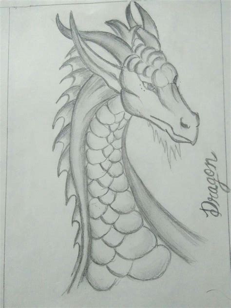 Imágenes De Dragones Para Dibujar A Lapiz