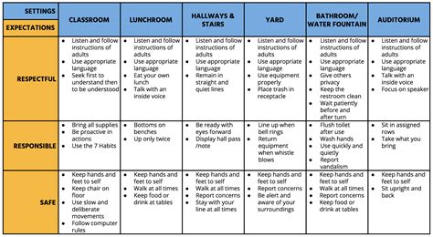 Pbis Matrix Template