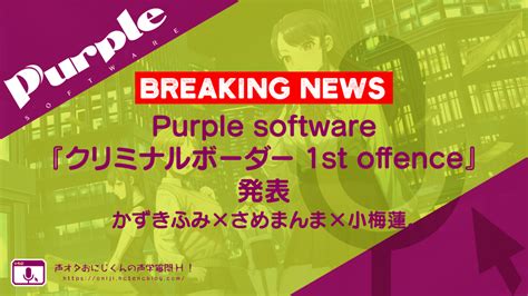 Purple Software St Offence H