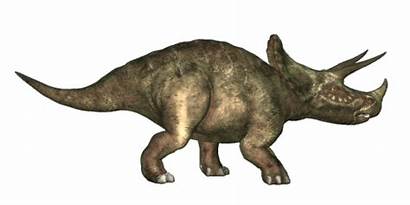 Horned Dinosaur Dinosaurs Triceratops Africa African Creature